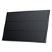 Комплект из 2 стационарных солнечных панелей EcoFlow по 100W