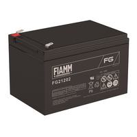 Аккумулятор Fiamm FG21202