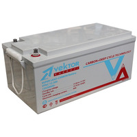 Аккумулятор Vektor Energy VPbC 12-200 CARBON