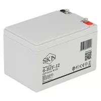 Аккумулятор SKN 6-DZF-12 (12V14.5A/H C5)